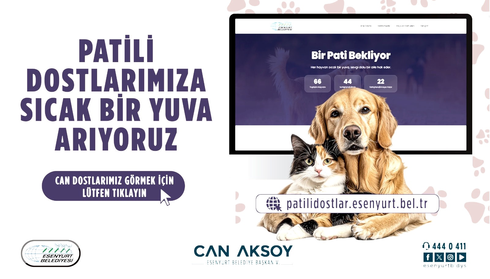 Patili Dostlarımıza Sıcak Bir Yuva Arıyoruz.